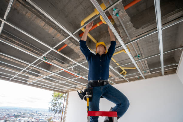 Best Best Plumbers Near Me  in Hudson, IA